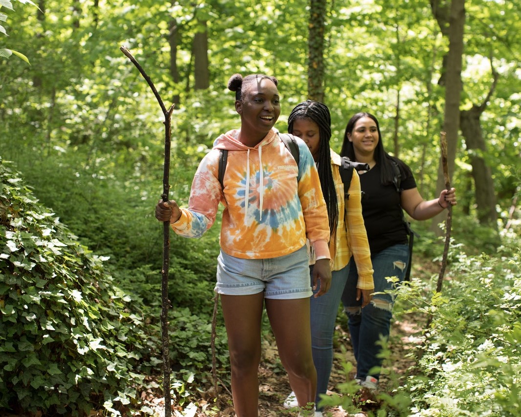 Three youth walking through a forest