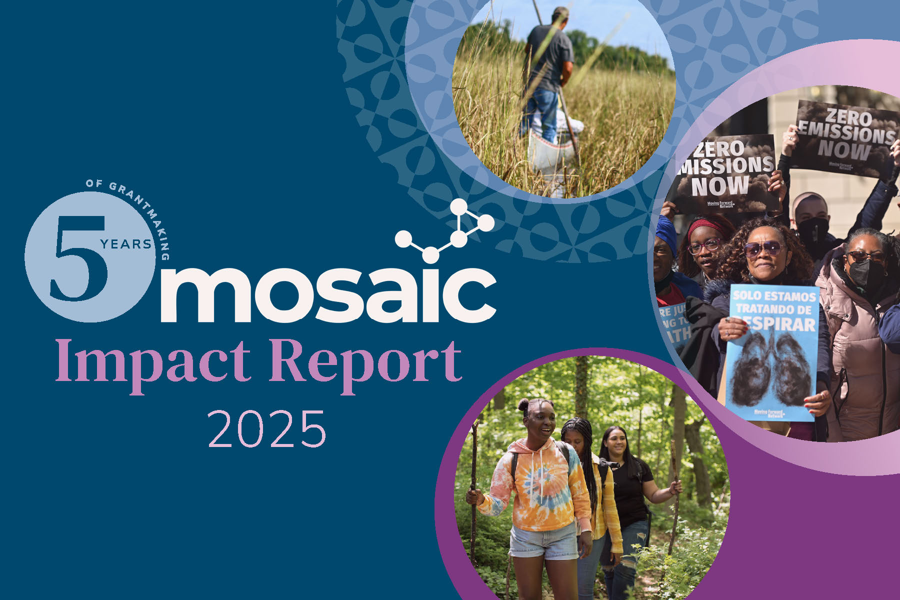Cover of Mosaic impact report